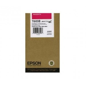  PARA LA IMPRESORA Epson Stylus Pro 9800 Tinteiros