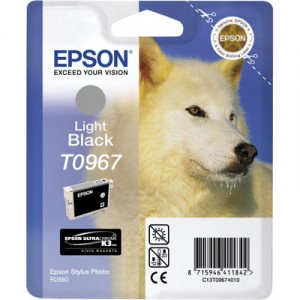  PARA LA IMPRESORA Epson Stylus Photo R2880 Tinteiros