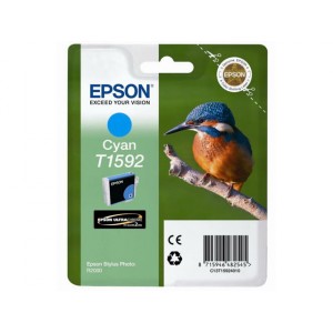  PARA LA IMPRESORA Epson Stylus Photo R2000 Tinteiros